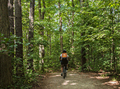 Photo - Cyclist in forest