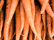 Photo - Carrots