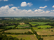 Photo - Bruce Landscape