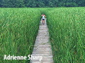 Photo - World Environment Day