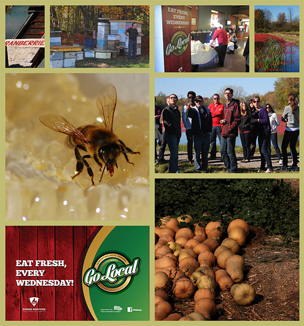 LFC-Collage-1.jpg