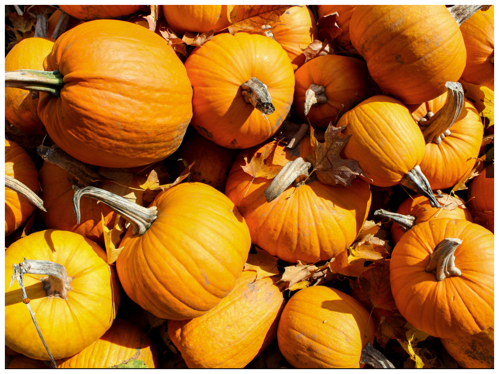 Pumpkins_Fall.png