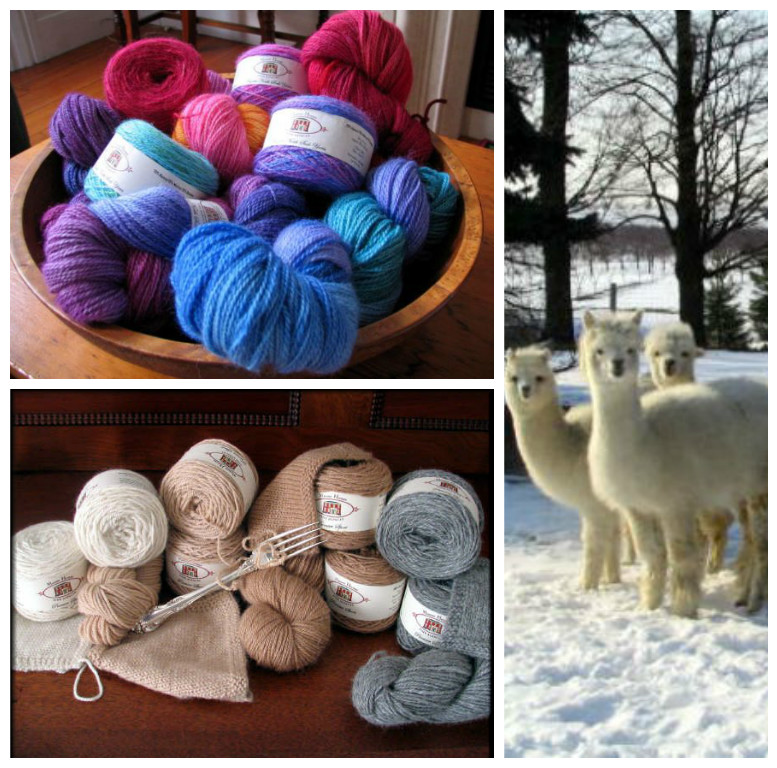 WOOL.jpg