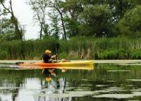 Guarding the Greenbelt in Brampton