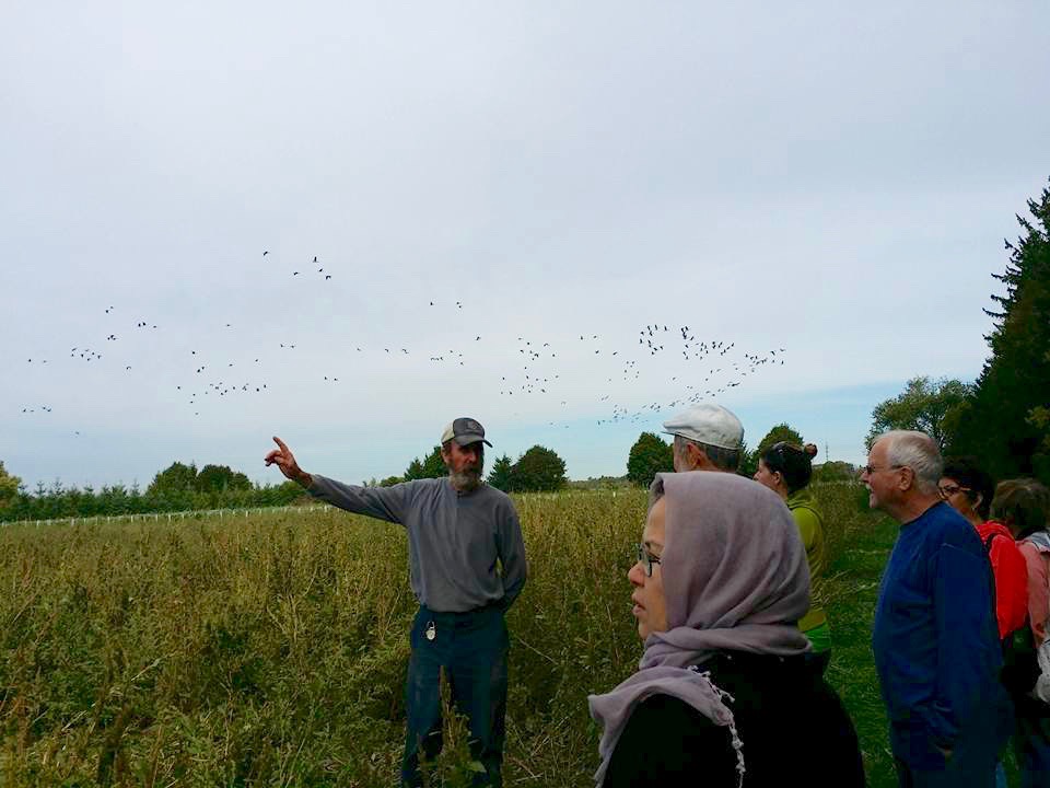 DallingtonPollinators.jpg