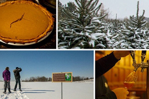 Greenbeltfresh Holiday Guide