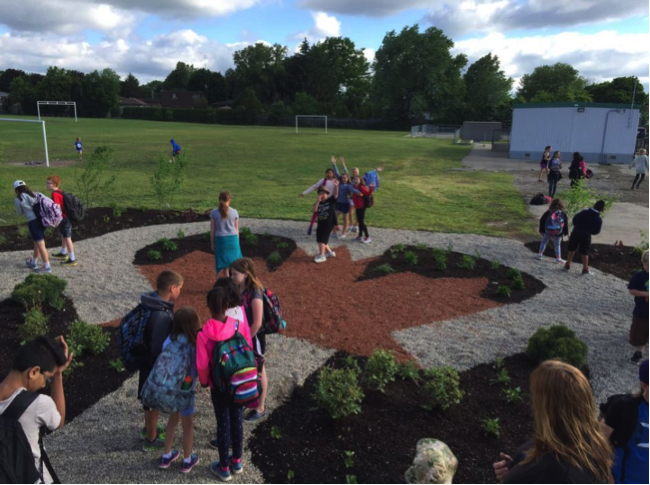 Riddell_Elementary.png