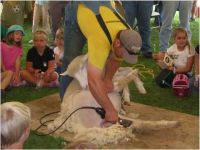 Niagara Agricultural Education Day