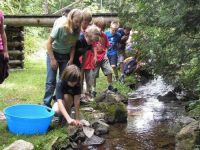 Atlantic Salmon Classroom Hatchery Program
