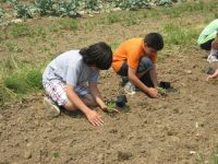 Building a Local Food Culture