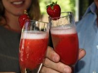 First Fruits of Spring Launch