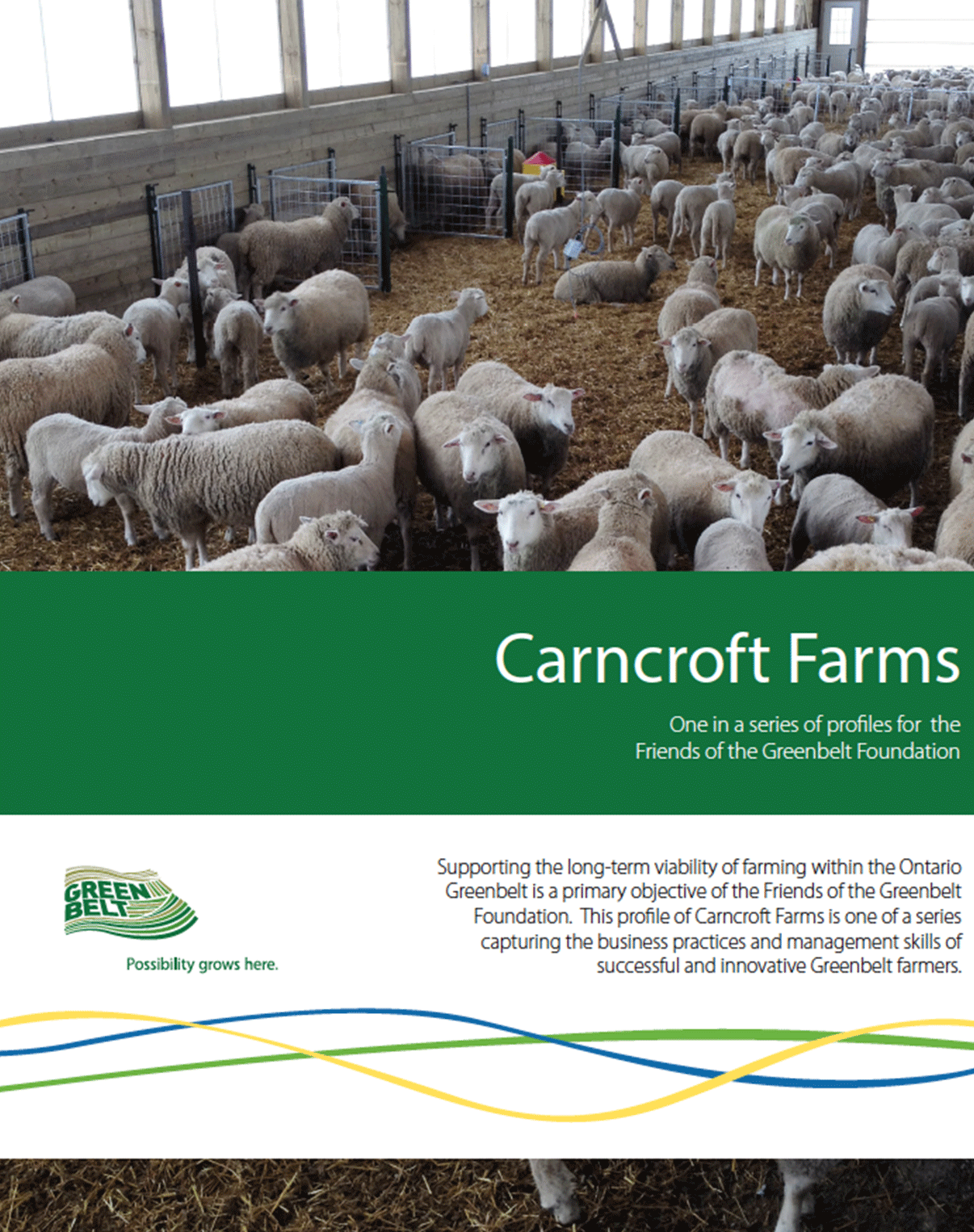Cancroft-Cover-2.png