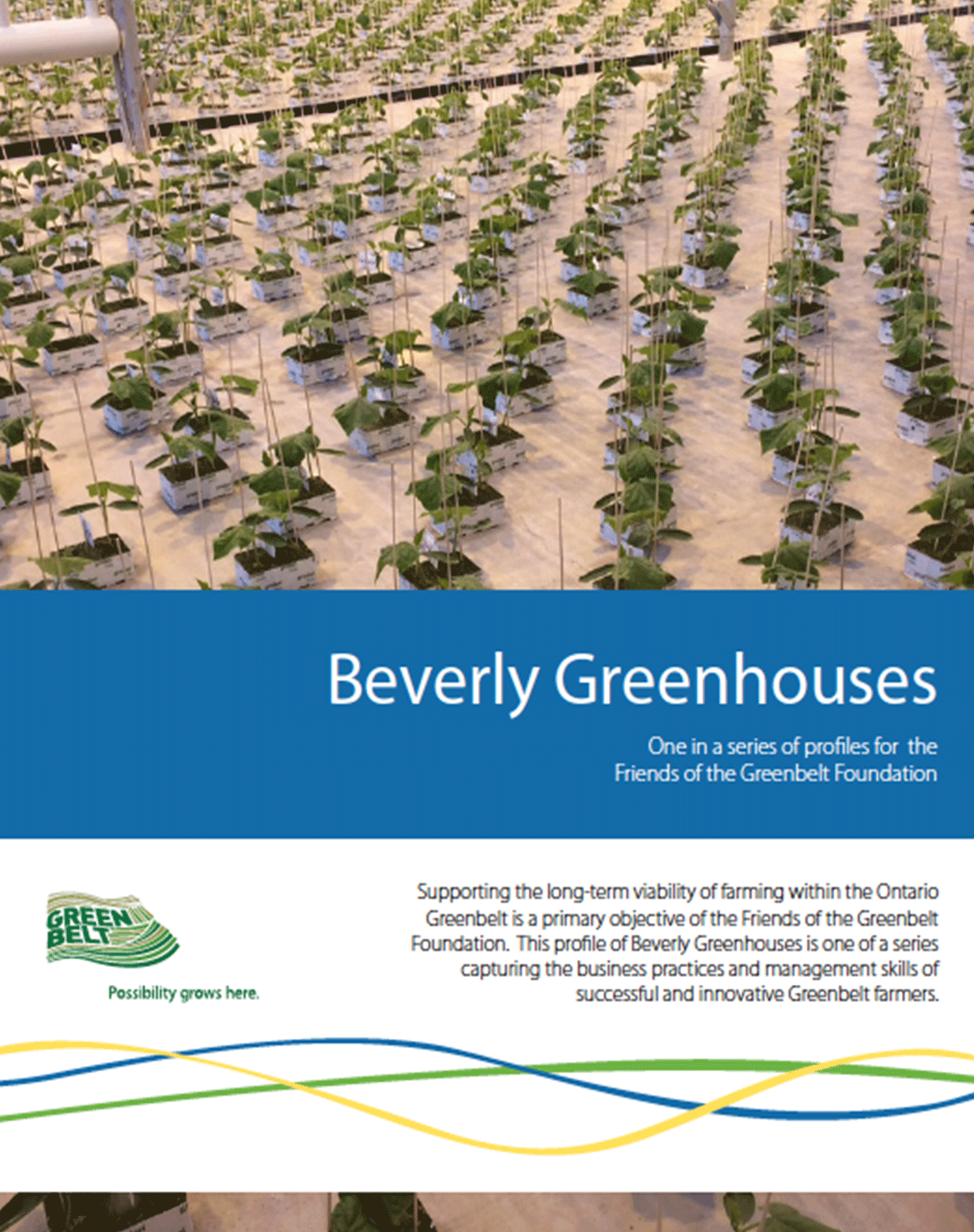 Bev-Cover-2.png