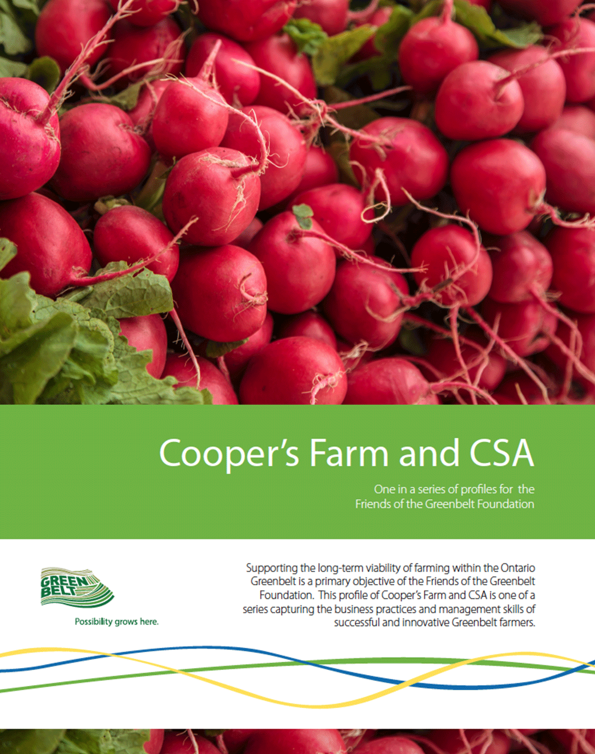 Coppersfarm-cover-2.png