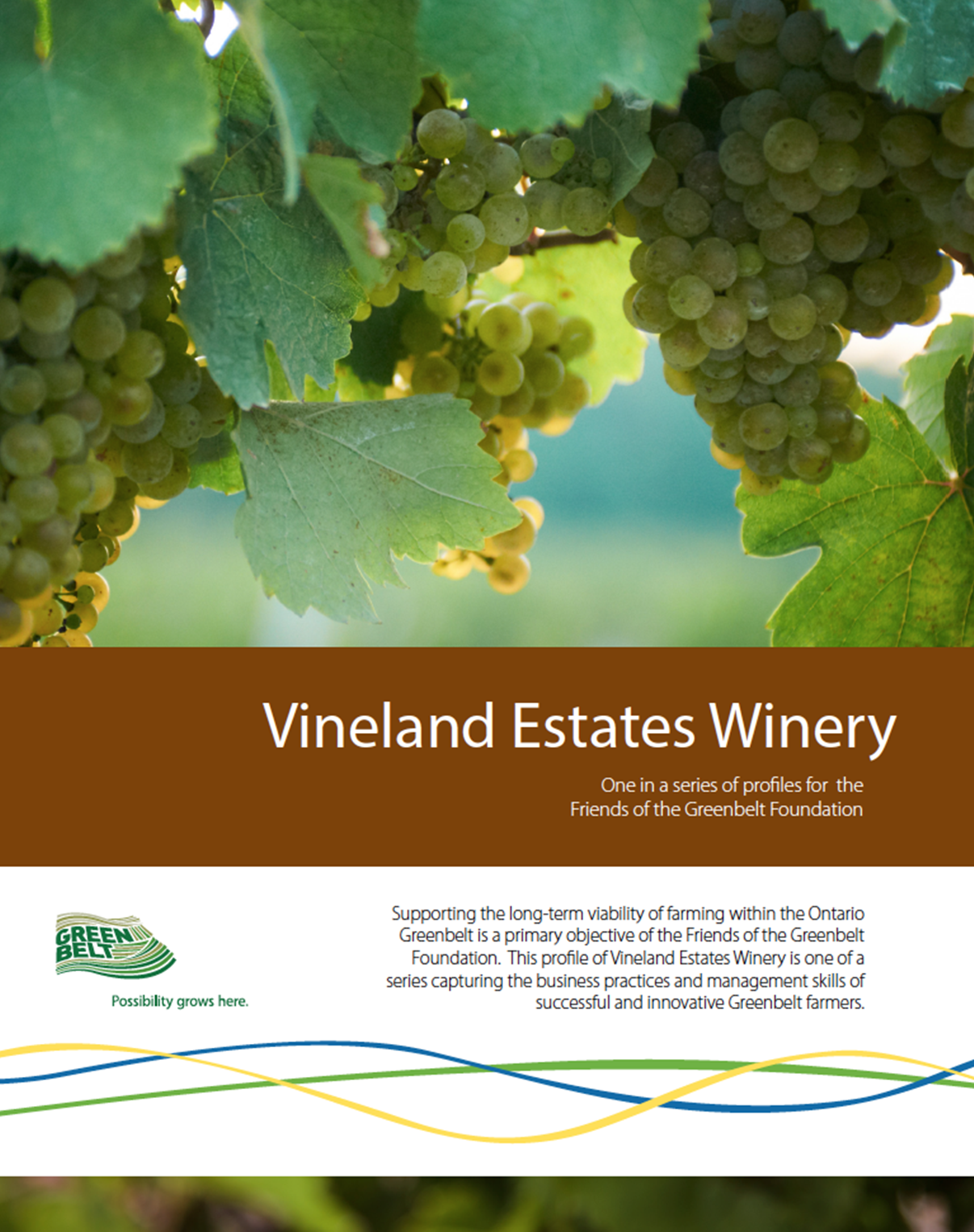 Vineland-Cover.png
