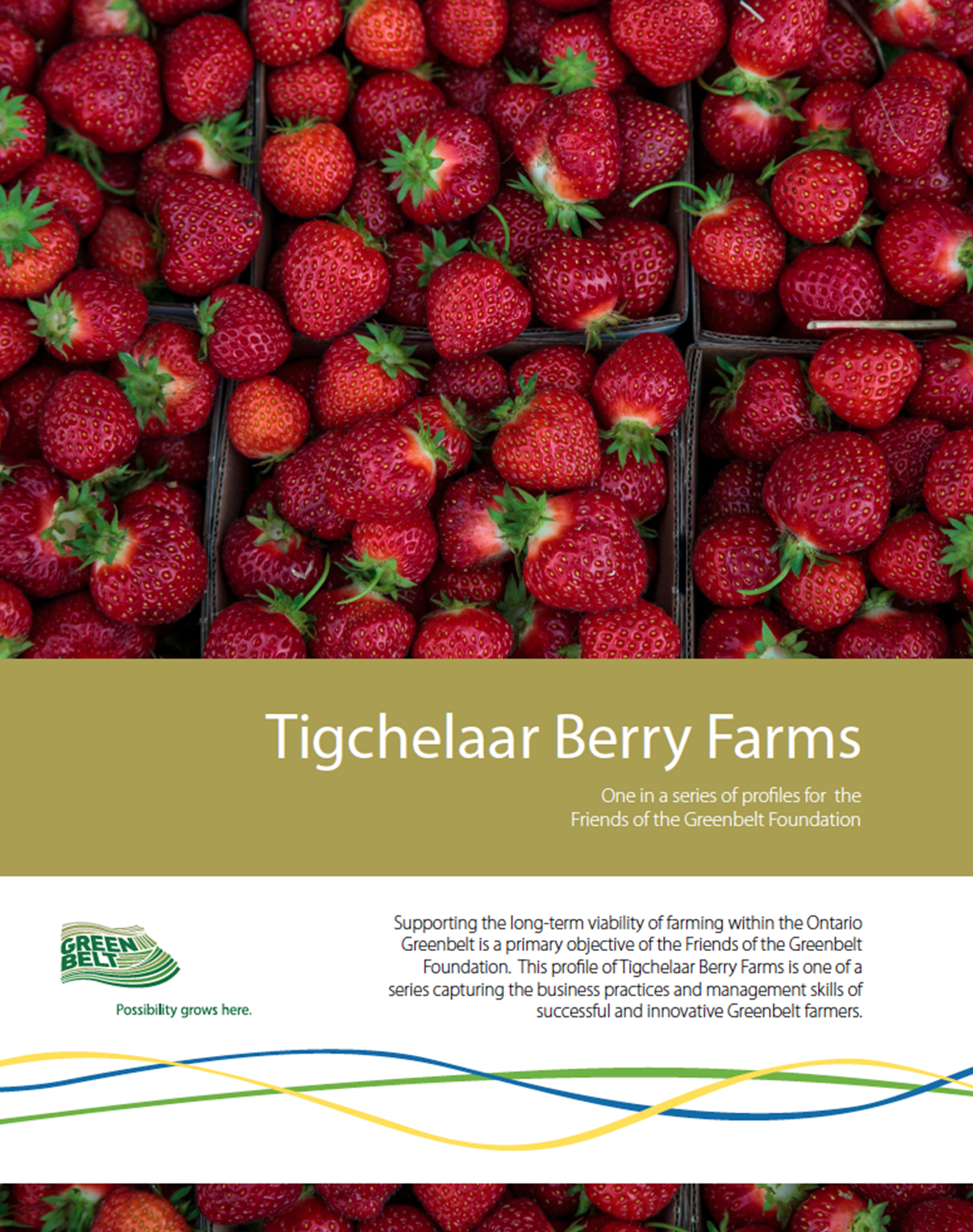 Tigchelaat-Berry-Farms-Cover.png