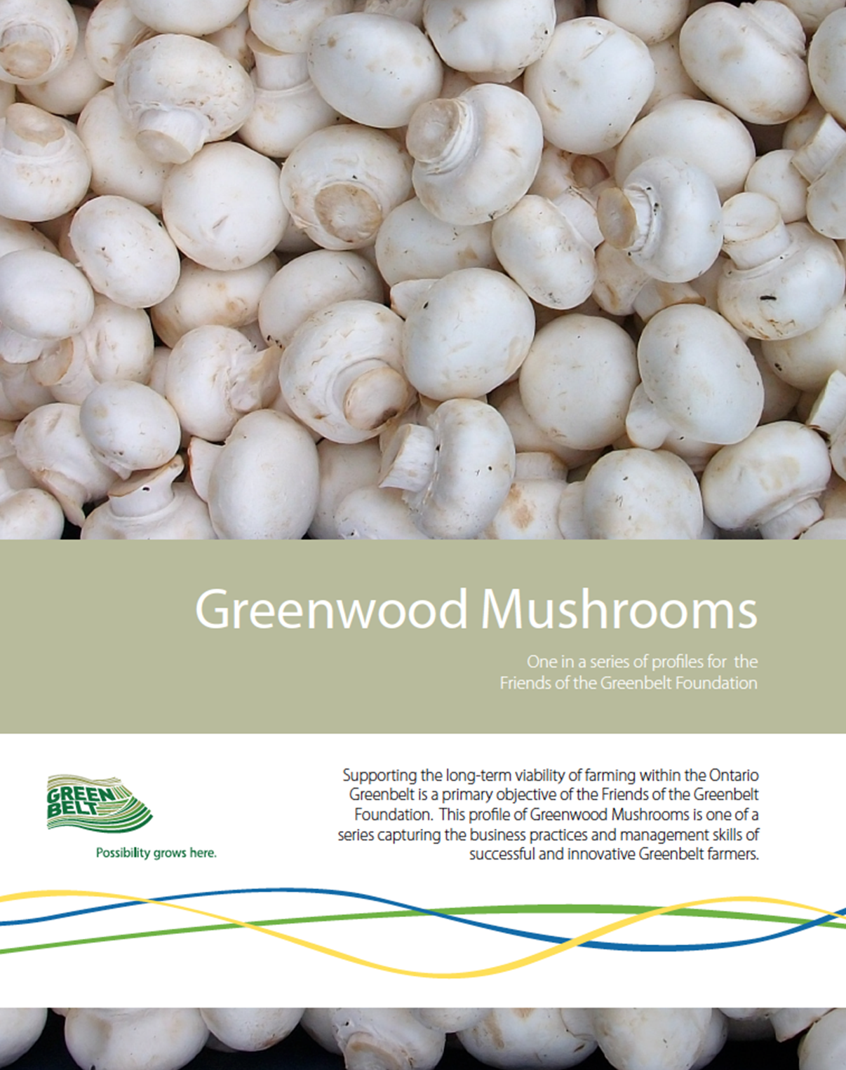 Greenbwood-Mushrooms-Cover.png