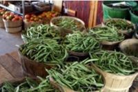 Agriculture and Agri-Food Strategy for the Golden Horseshoe and Holland Marsh