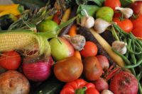 Niagara Culinary Trail