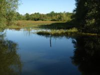 Wetland Restoration Incentive Program