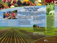 From Our Farm to Your Table