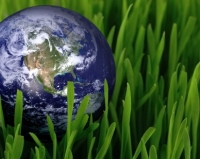 Canadian Institute for Environmental Law and Policy