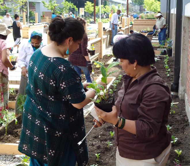 world-crop-project-learning-gardens-2012.jpg