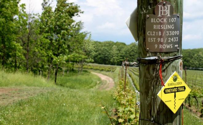 beamsville-bench-winery-trail.jpg