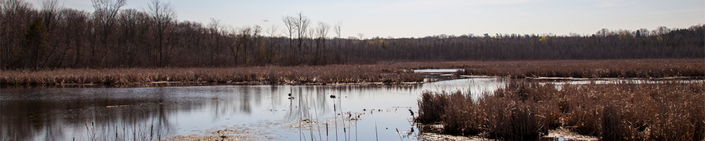 Ag-Week-Blog---Beaver-River.jpg