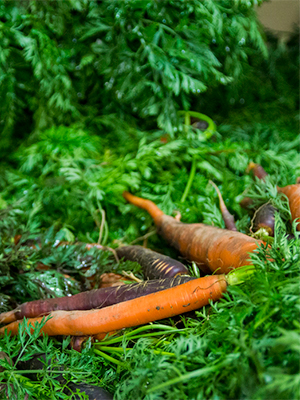 Ag-Week-Blog---Carrots.jpg