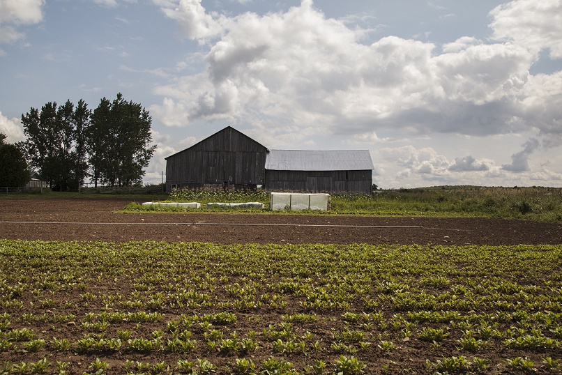 24 New Projects Announced with Greenbelt Fund Investment Greenbelt Fund