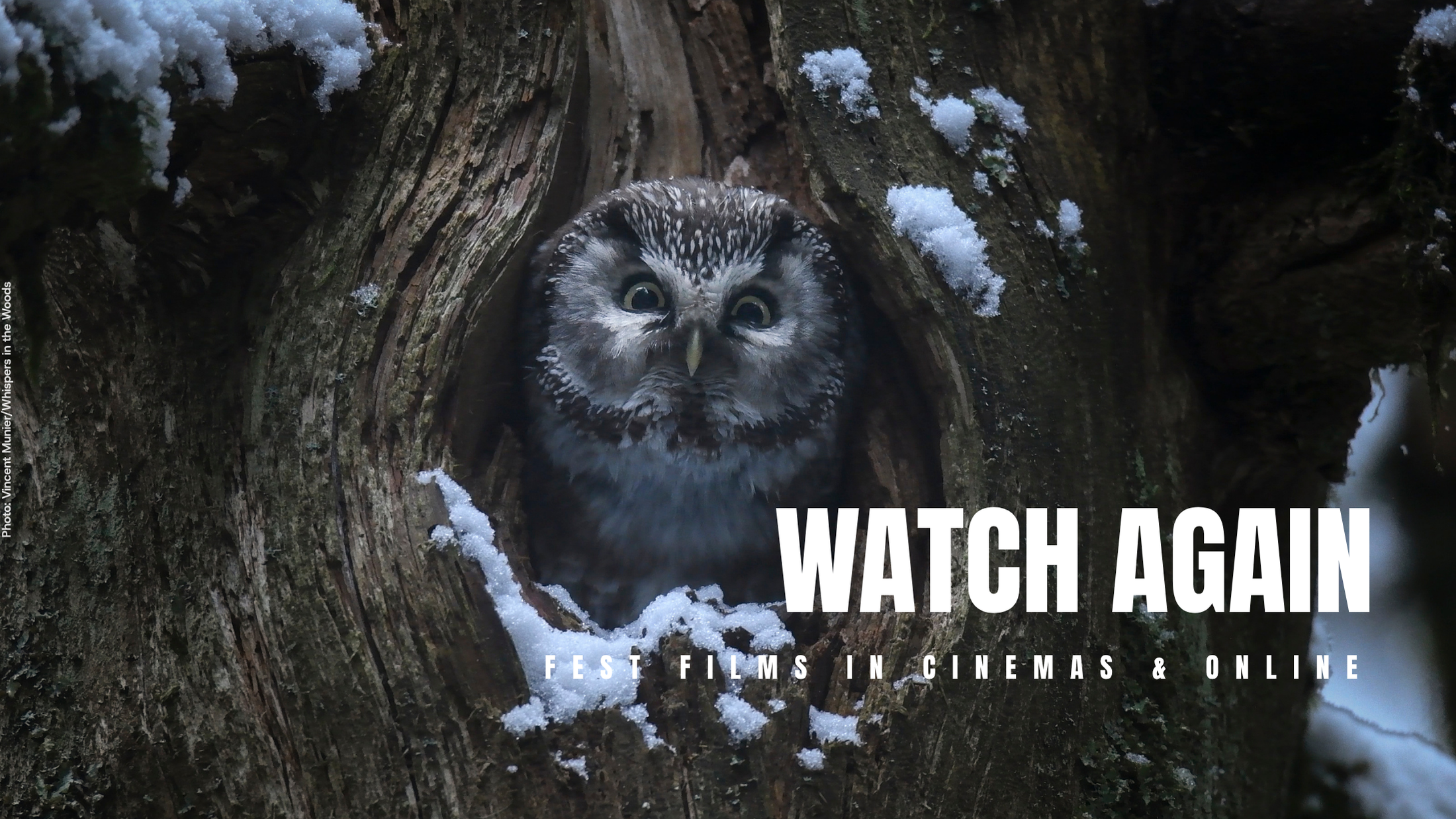 Watch Again