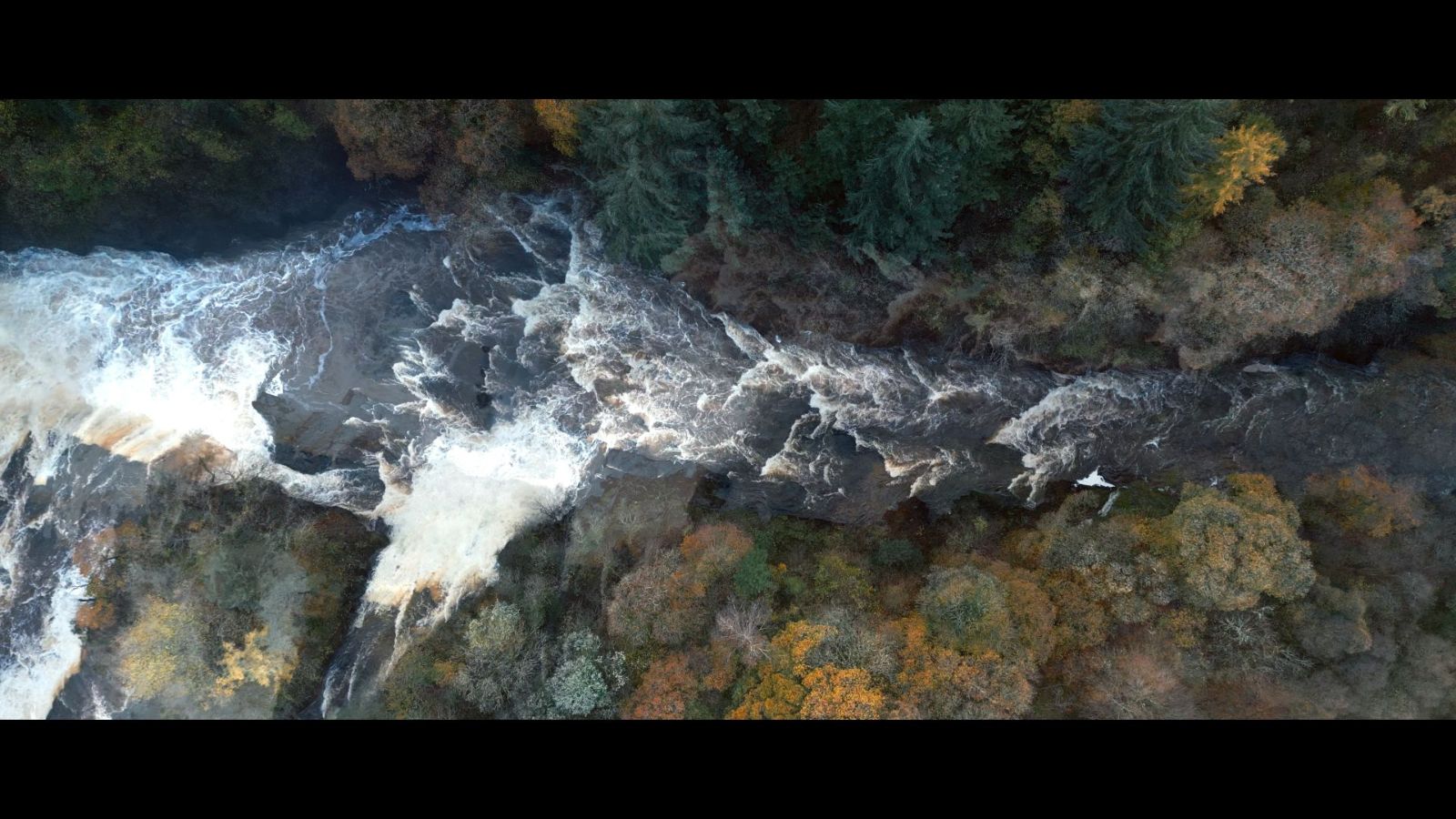 A bird's eye view of a wide river, running through a thick forest of trees.