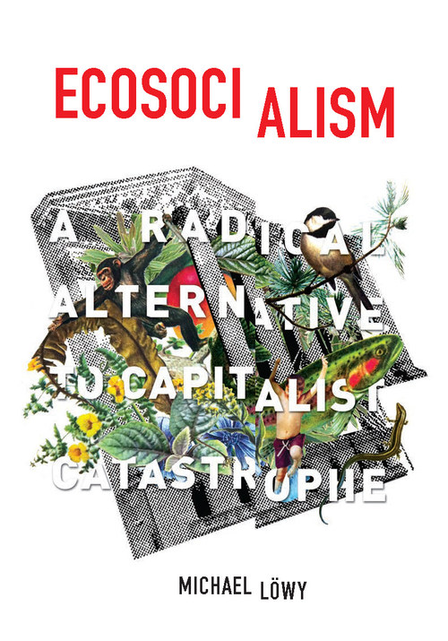 The cover of the book Ecosocialism.  White with red and black letters.