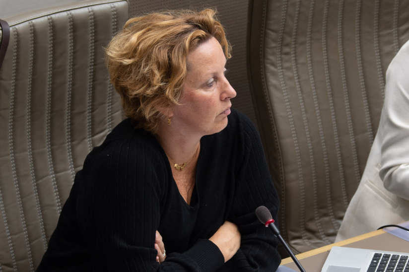 Groen: 'Milieu-inspectiediensten samenvoegen houdt grote risico's in'
