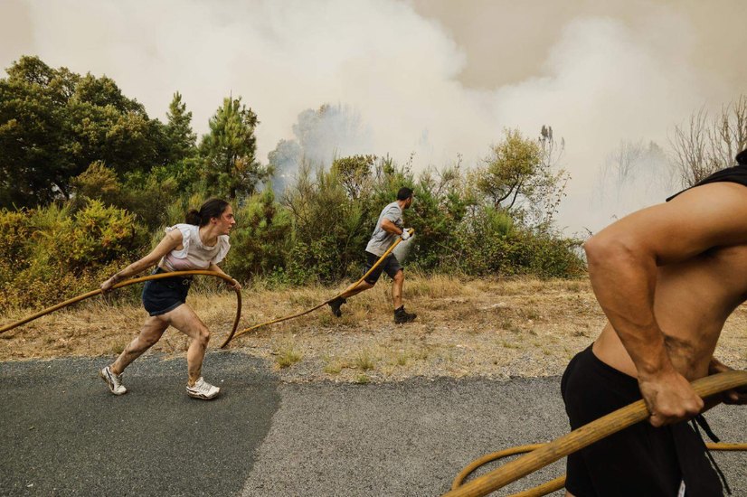 Groen veroordeelt afzwakking ontbossingswet: 