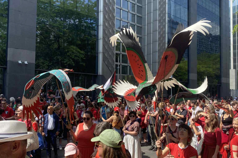 Groen trekt rode lijn voor Gaza: 