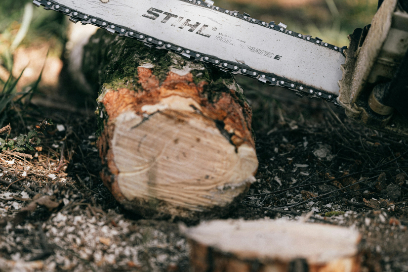 Meer dan 70 procent boskap gebeurde voorbije 10 jaar in Antwerpen en Limburg