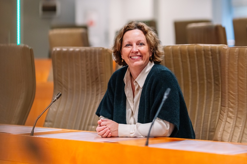 Opinie: Vergunningenbeleid - Efficiëntie? De bescherming van de rechtsstaat afbreken, zult u bedoelen