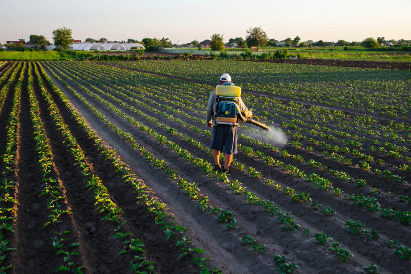 Groen eist juridische check Mercosur: 