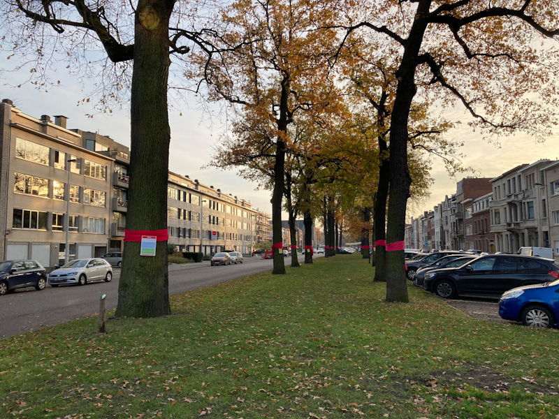 Groen vreest versnelde uitvoering keerlus tijdens lopende procedures