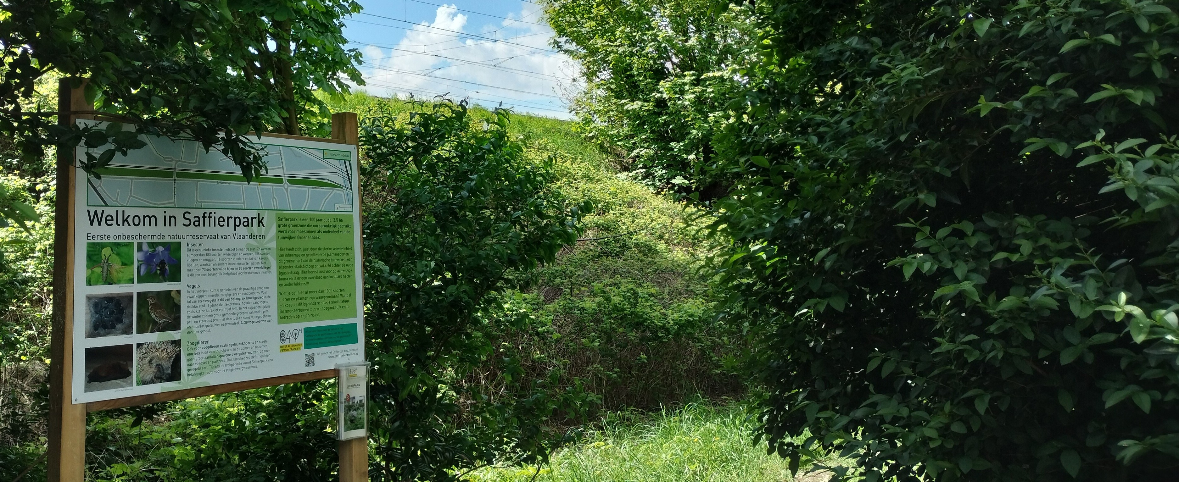 Groen verzet zich tegen kaalkap in Saffierstraat