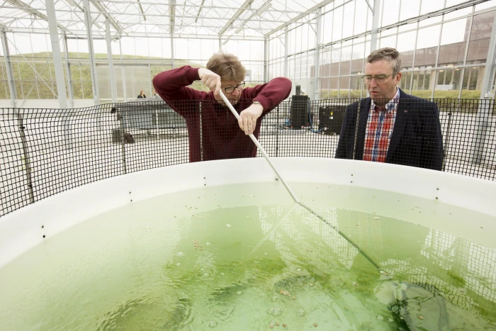 Ontdek het baanbrekend wetenschappelijk onderzoek van ecosystemen in de Ecotrons en Mesodrome van de UA