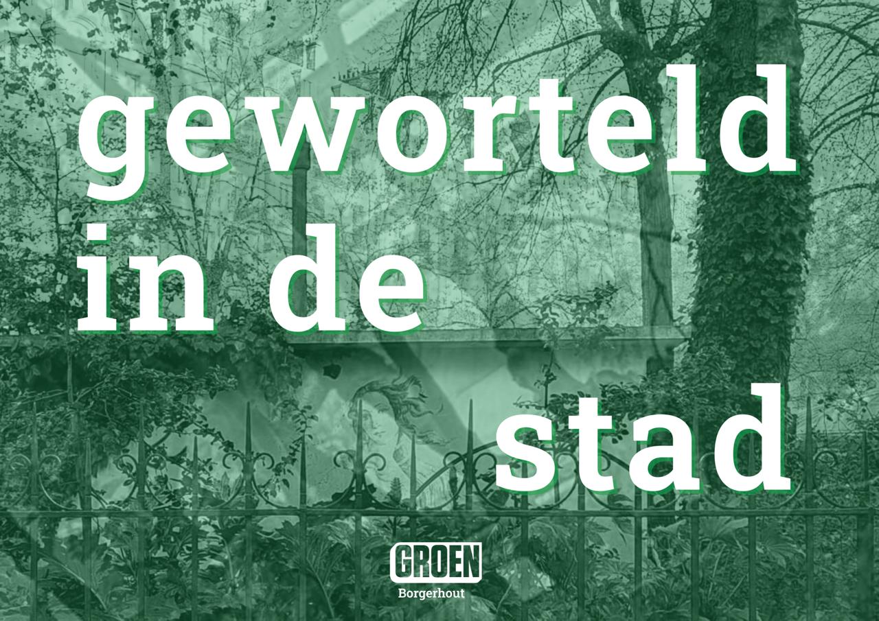 Geworteld in de stad 