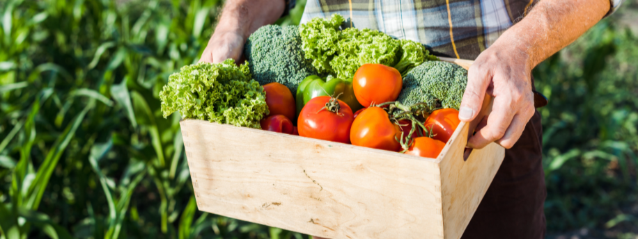 Gent eet lokaal: korte keten centraal in nieuwe voedselopdracht