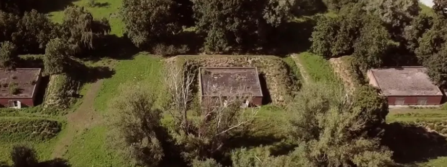 Verhuis Patrasche vzw: duiding bij het moeilijke dossier