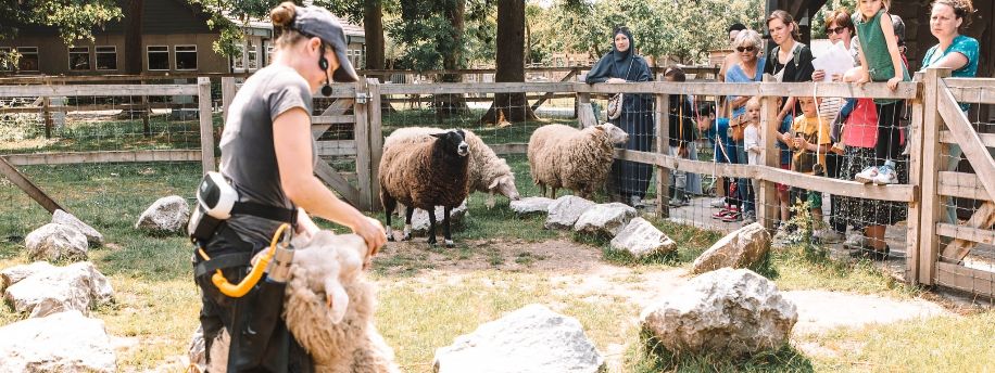 Een nieuwe toekomst voor Schoolhoeve De Campagne