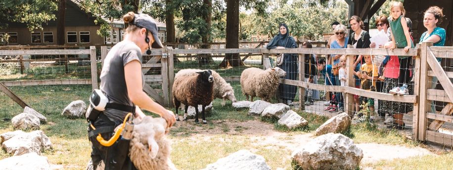 Een toekomst voor De Campagne
