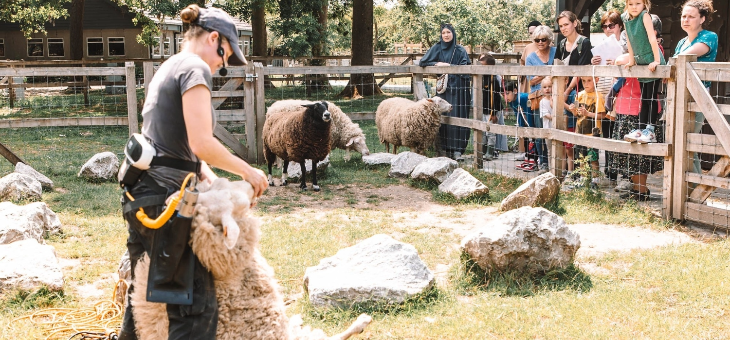 Een mooie toekomst lonkt voor De Campagne