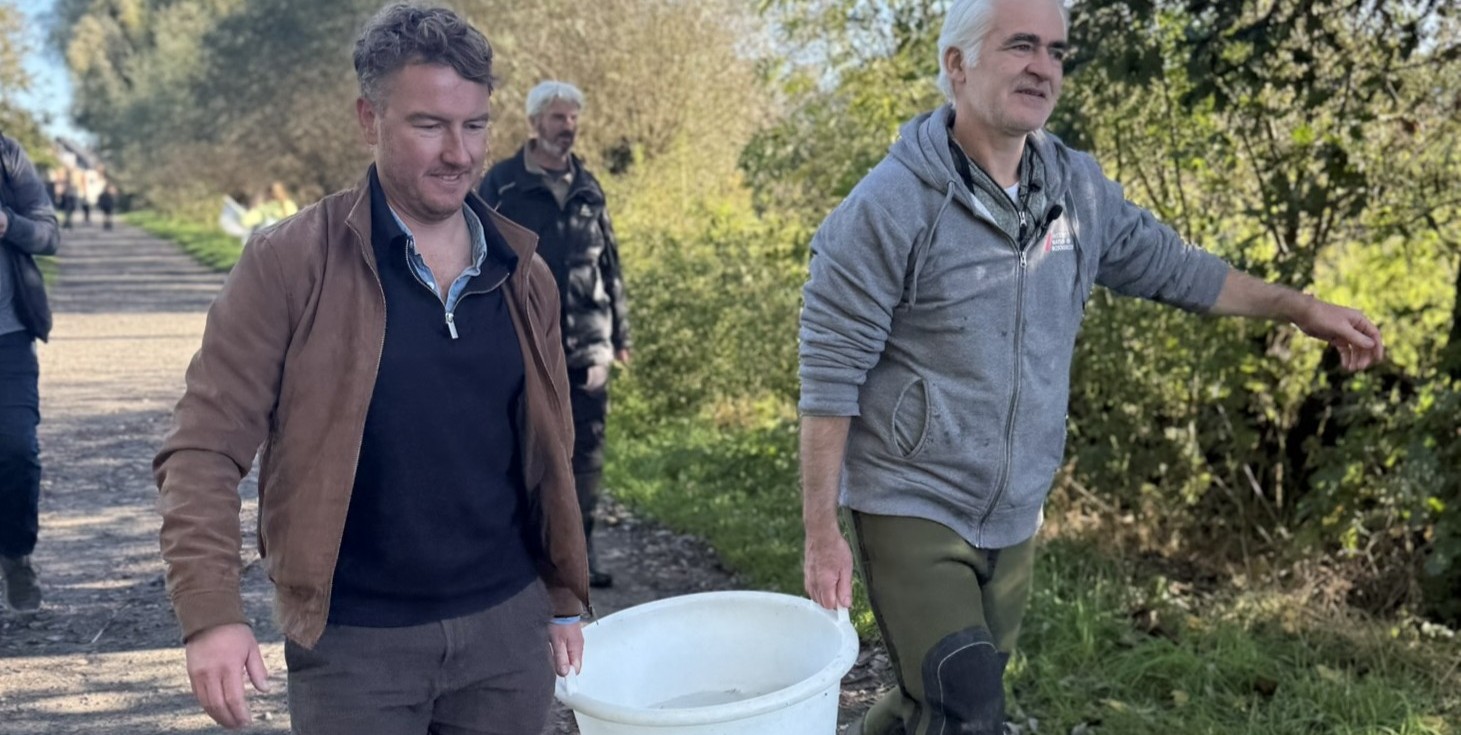 Bedreigde grote modderkruiper krijgt nieuwe kans in Bourgoyen